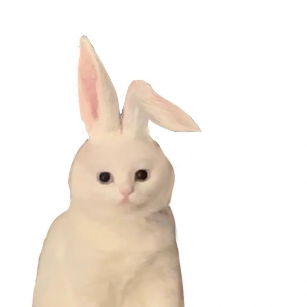 真是小白