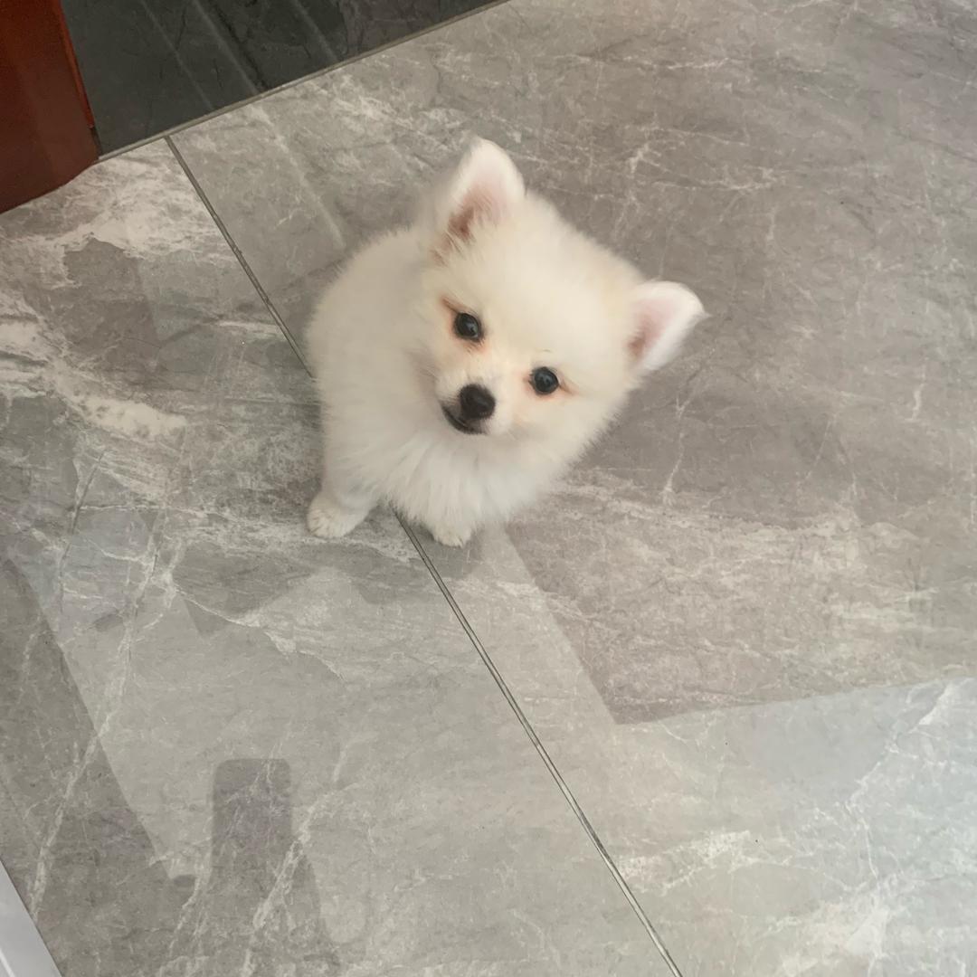 我❤️飞翔