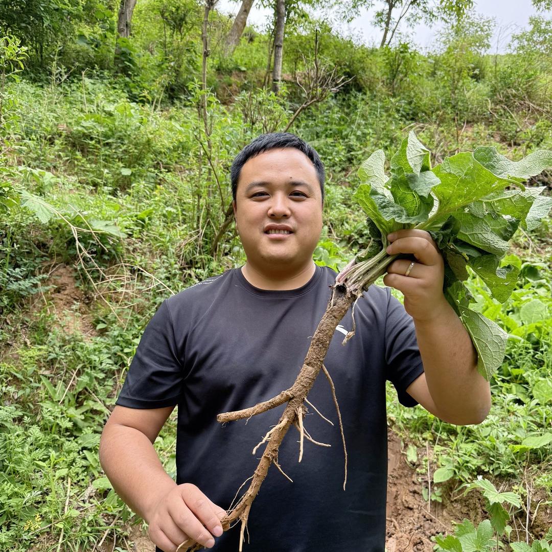 陇膳堂甘肃本草