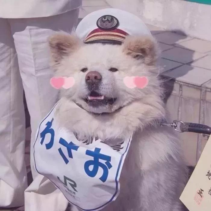 菠萝包☻𝗞