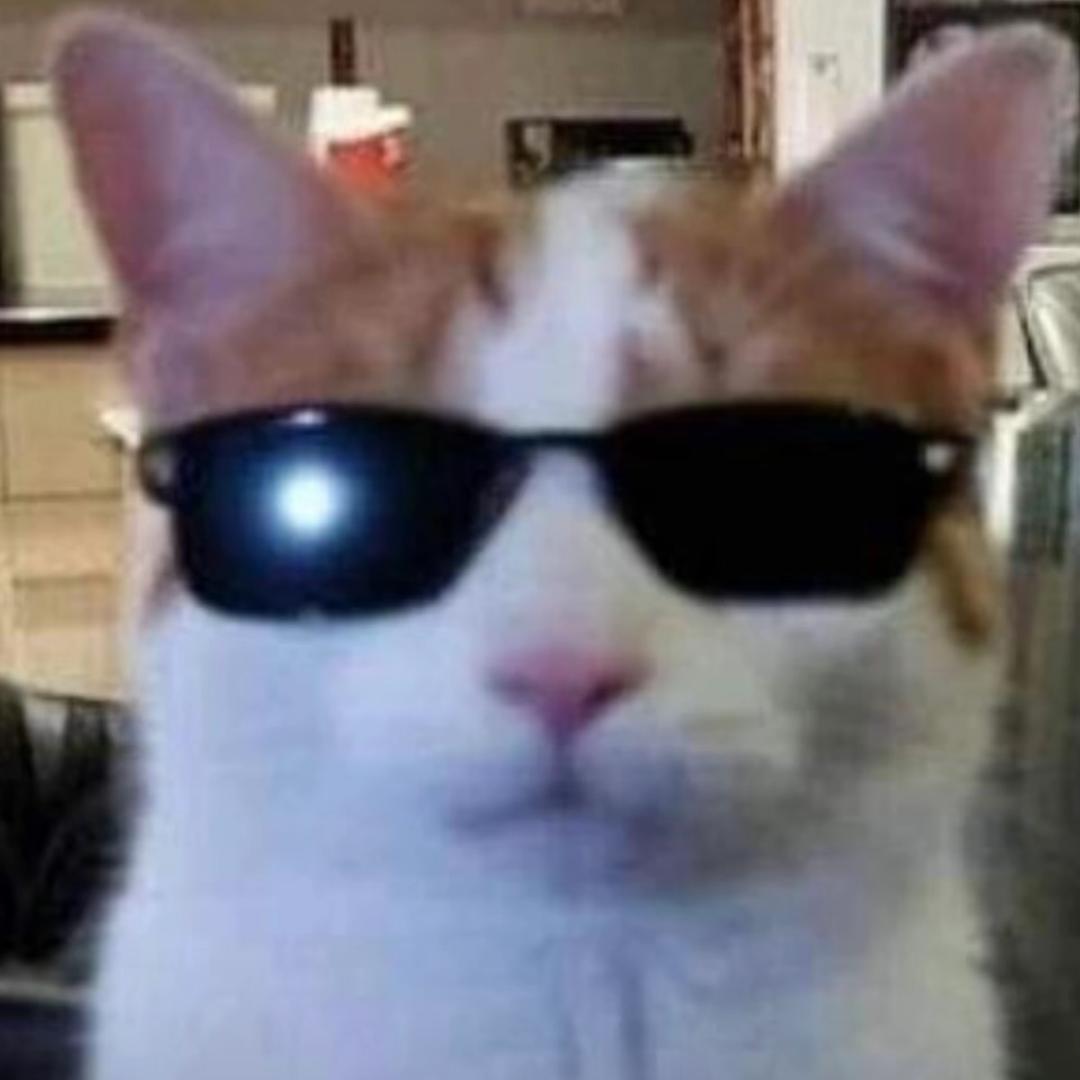 badgalzizi