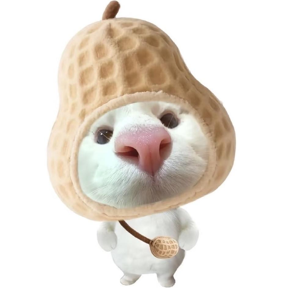 月亮快快圆