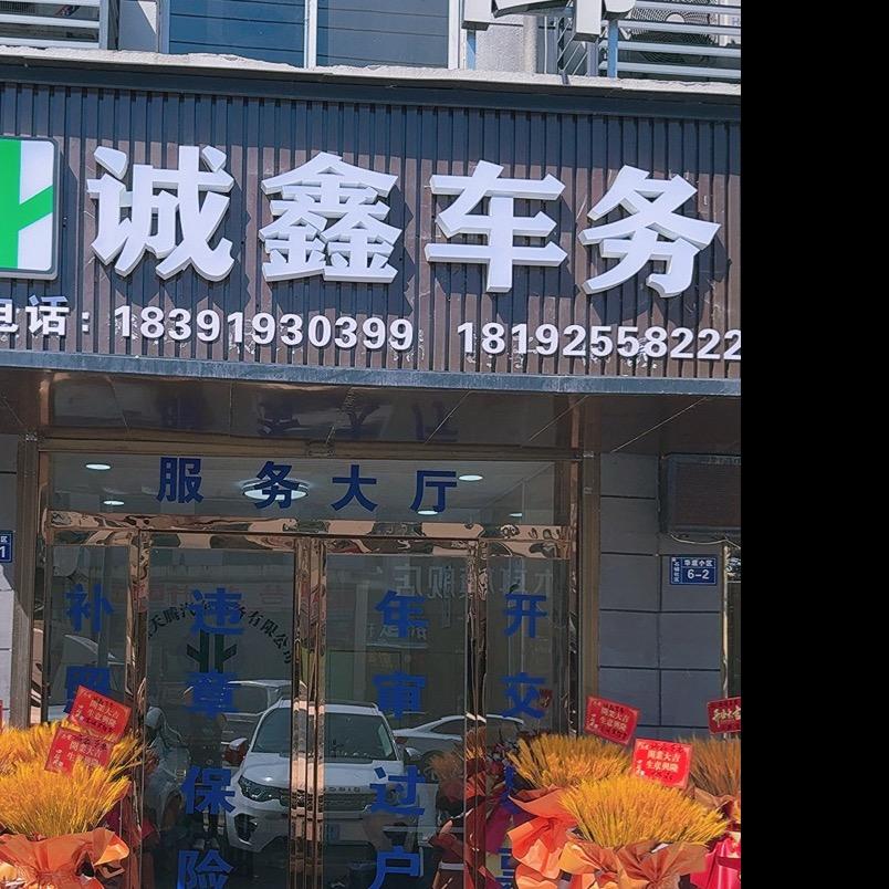 柞水审车过户代办（诚鑫车务）