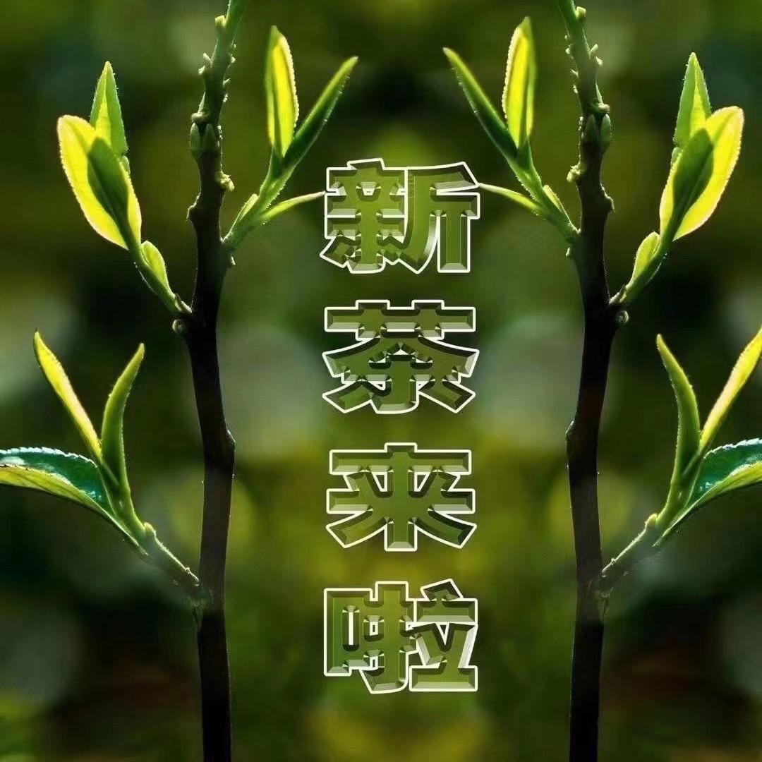恩施和信堂茶叶专营店