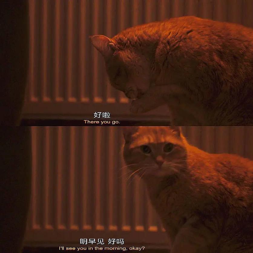 哆啦