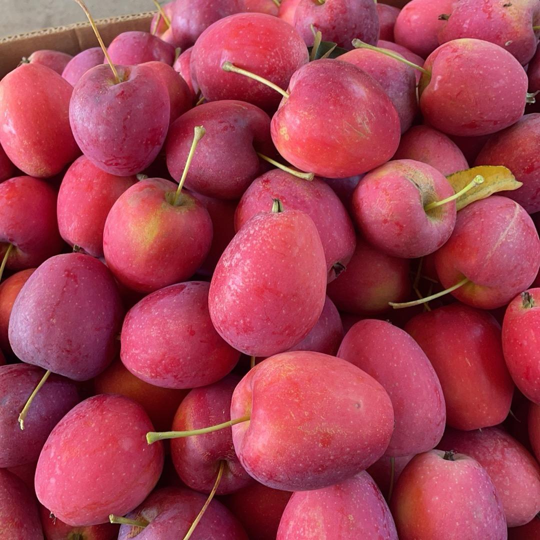 邓林林甄选开原特色店