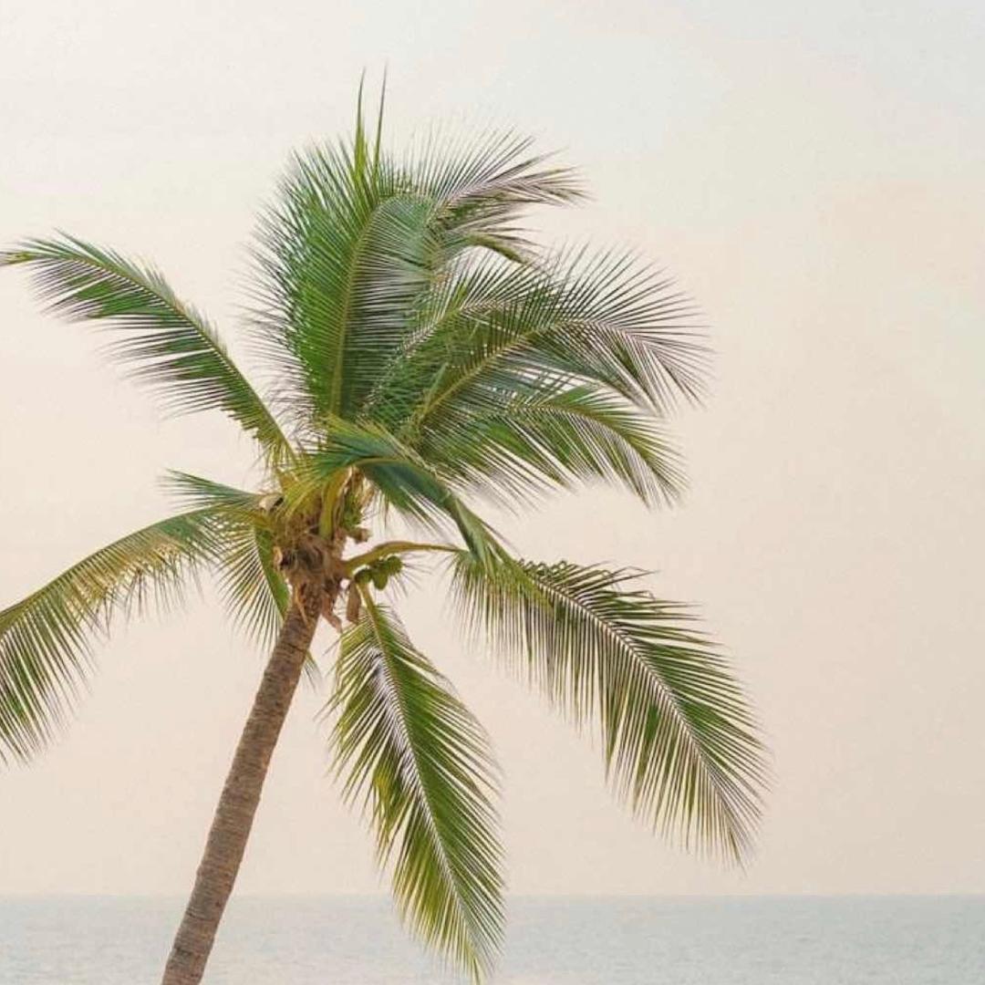 ℳ̶̶̶̶♡̶҉浅梦ℳᥫ