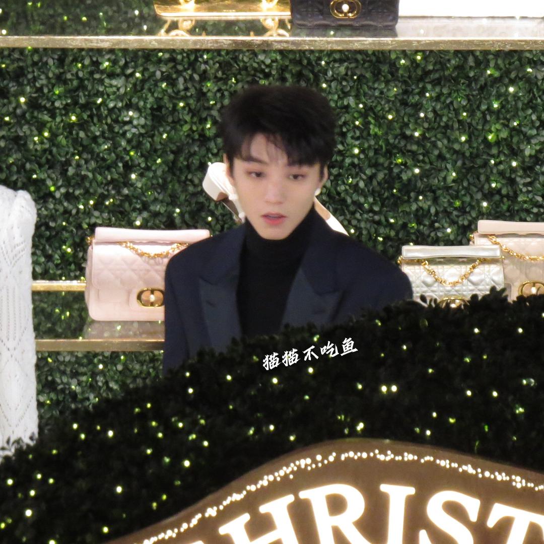 猫猫不吃鱼（见wjk4.0 对视8.0）