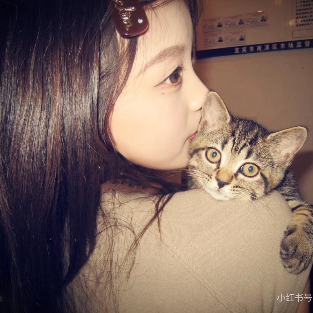 贝贝👀