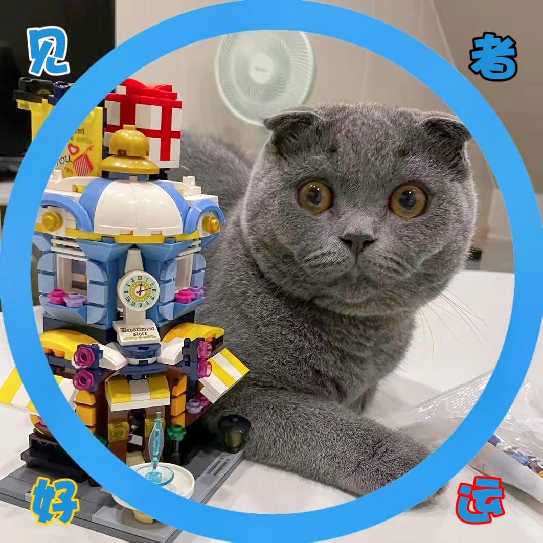 胡百万是一坨猫