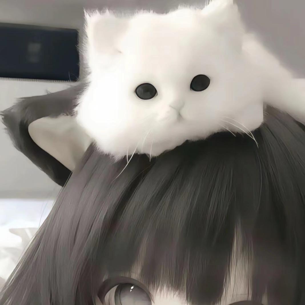 贞