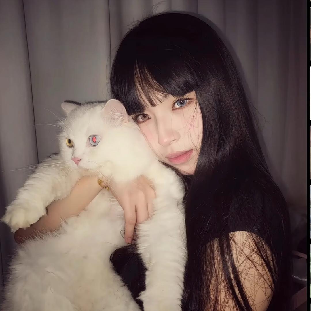 🐰