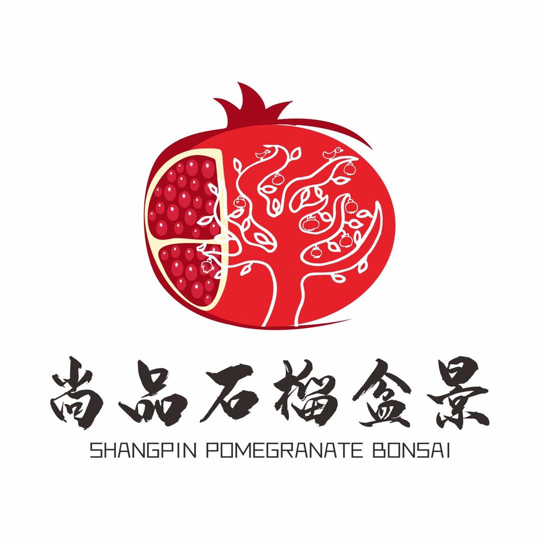 尚品石榴盆景苗木