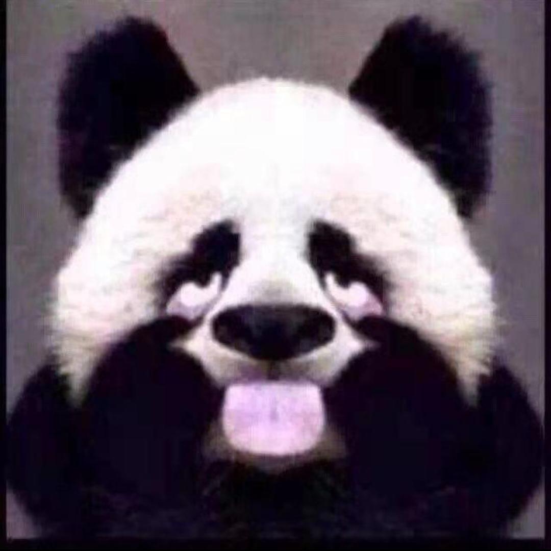 黑虎搏击 蔡教练