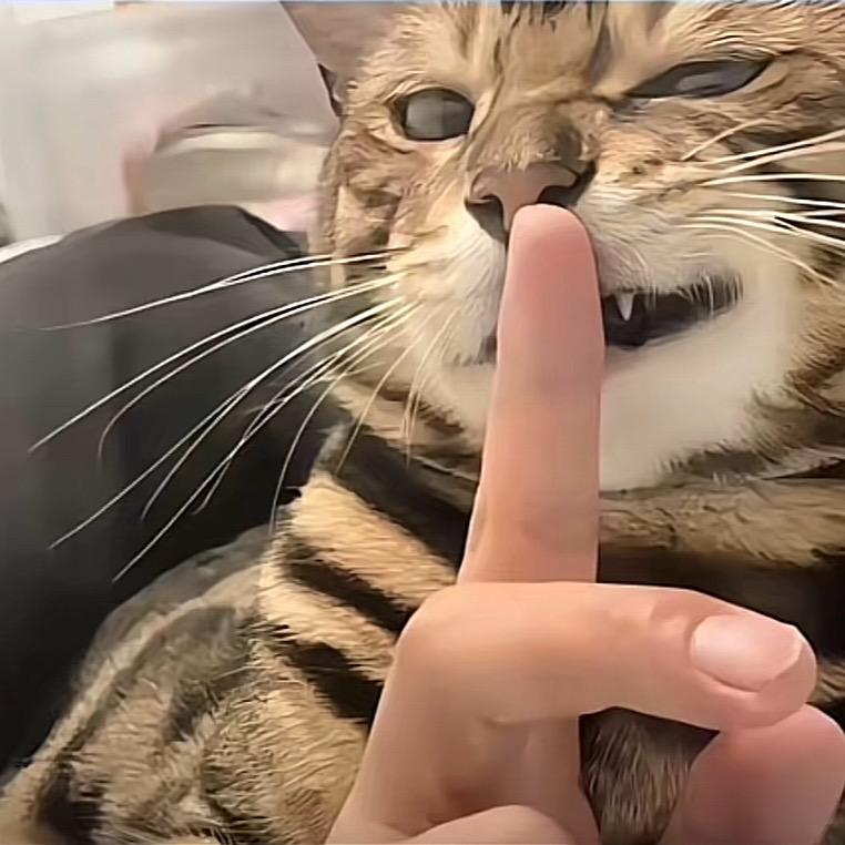 温馨宠缘生活坊