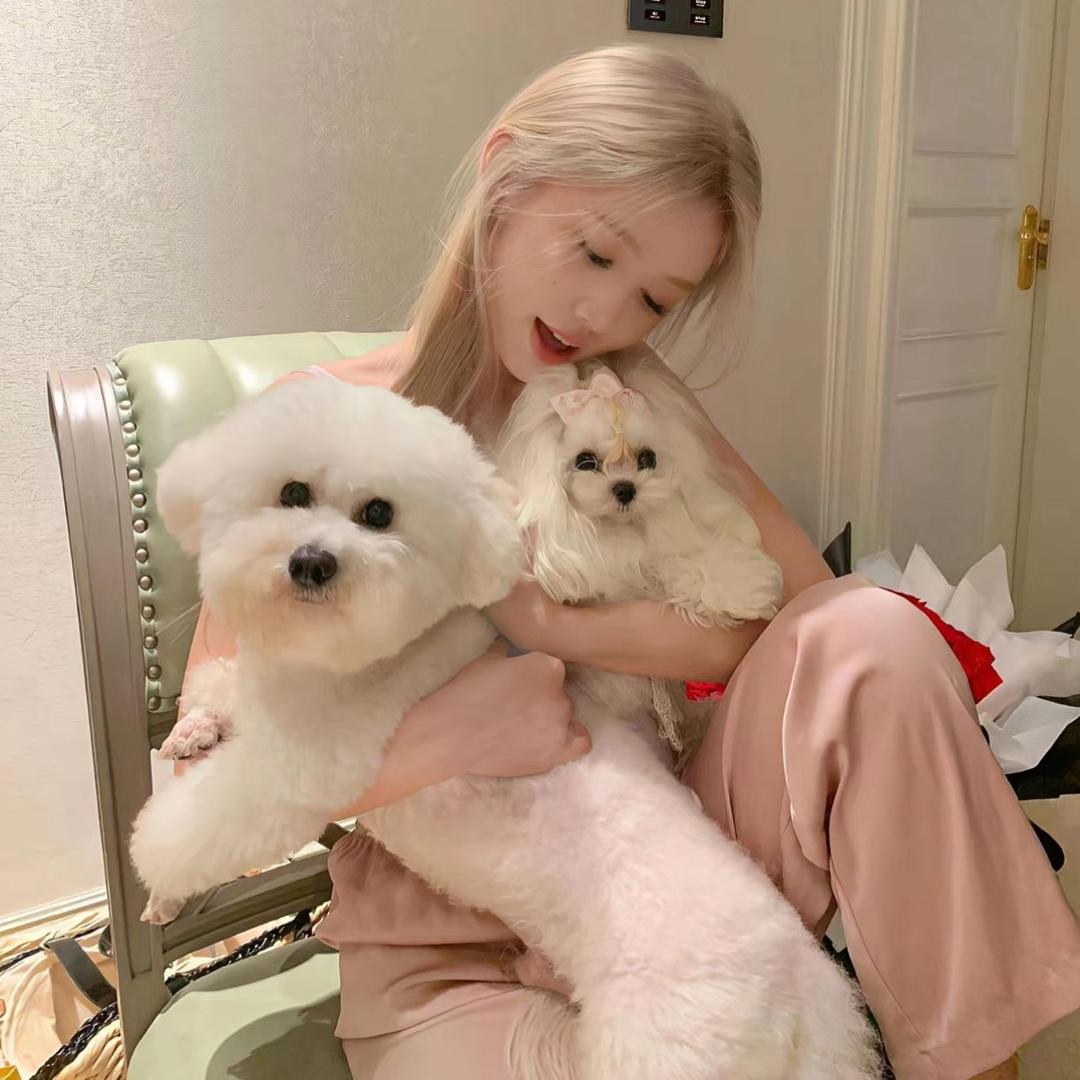 kitty不说helloฅ.ฅ