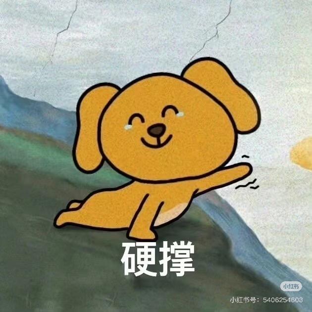 爱吃水泡饭