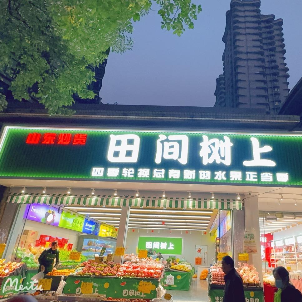 田间树上