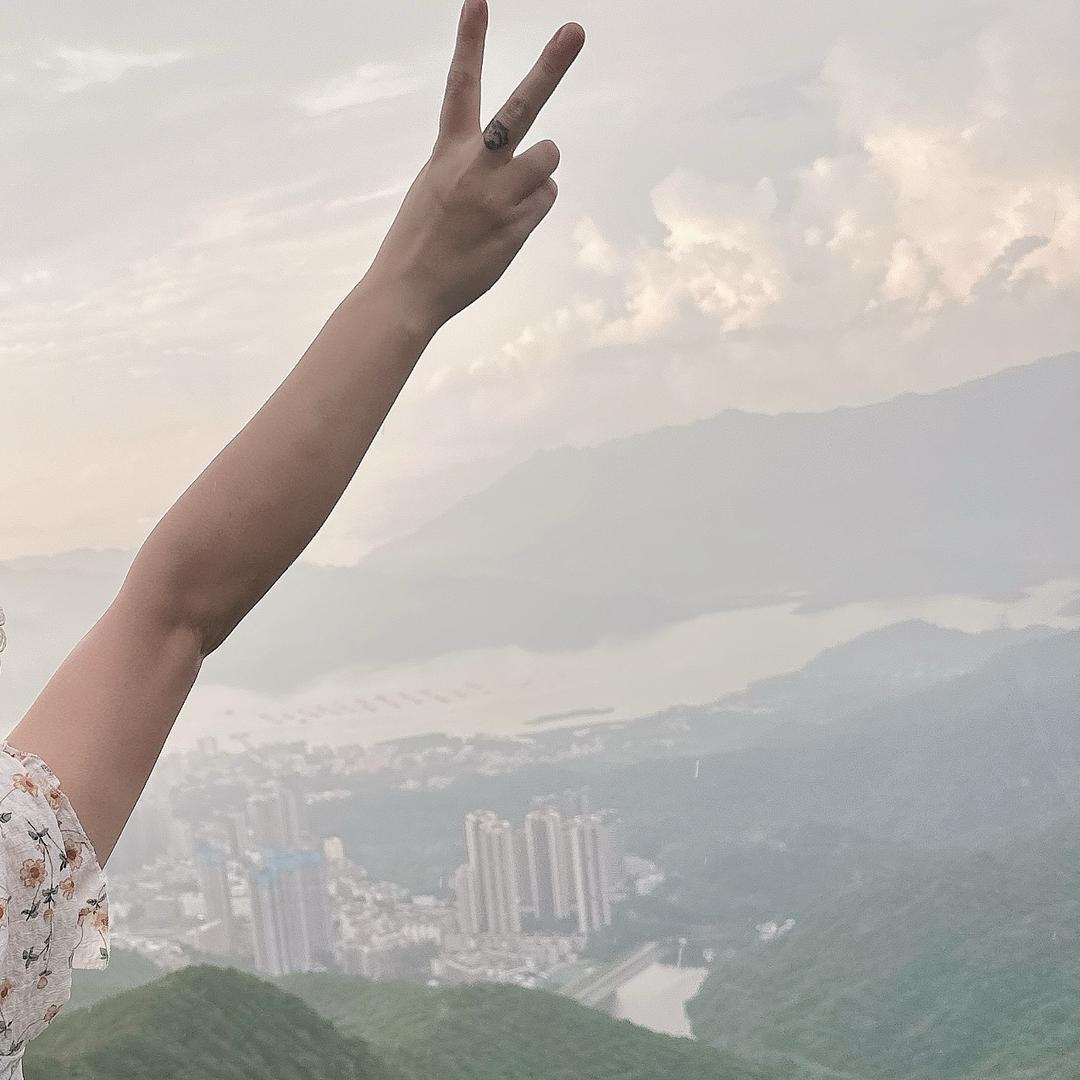 揽山河予你