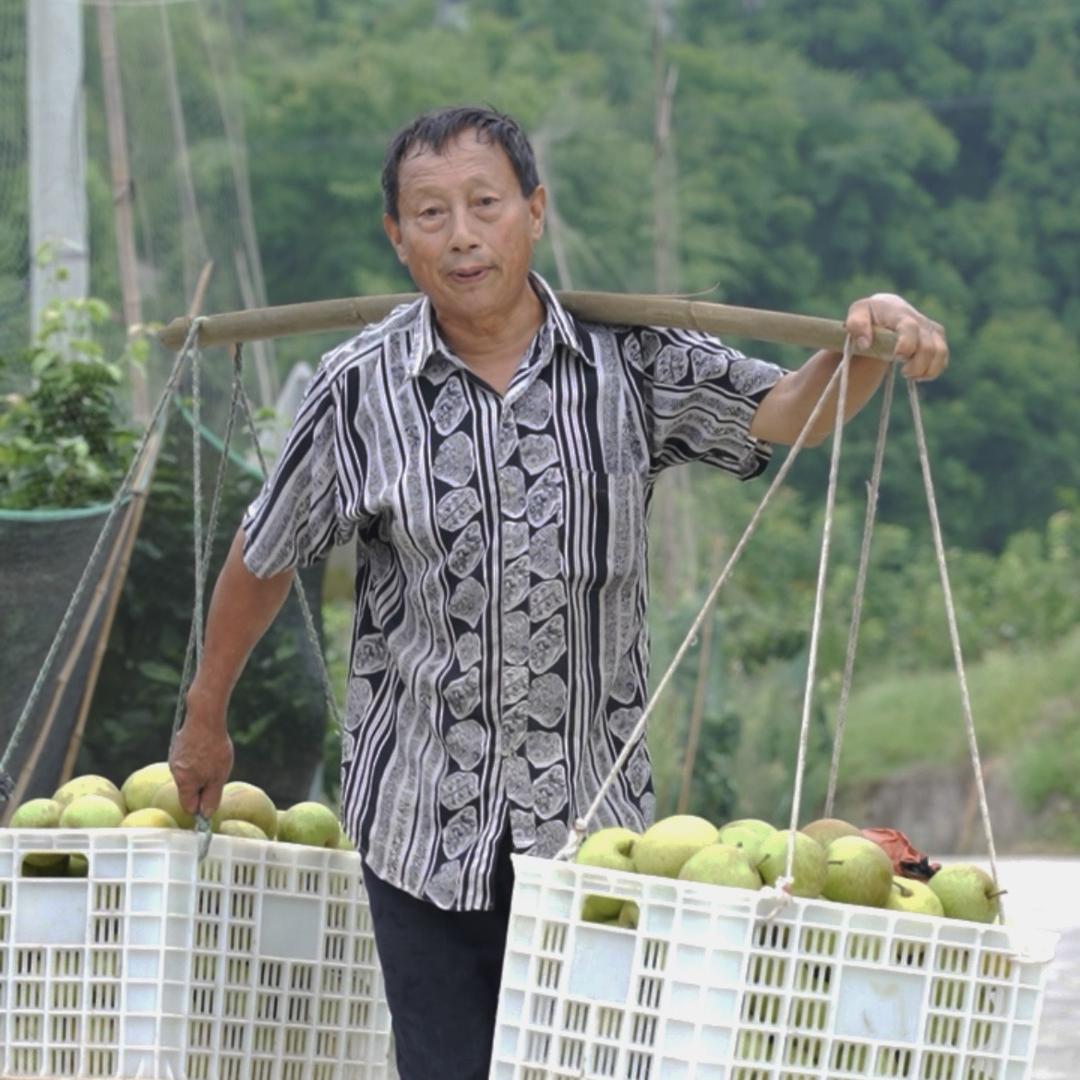 贺学春水果种植场