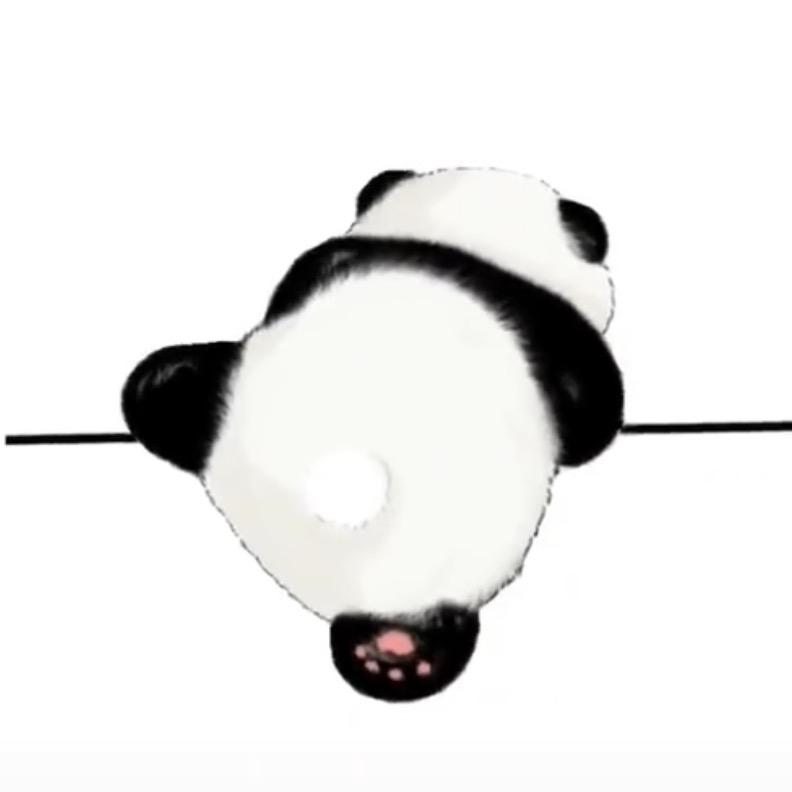 🫧魔鬼鱼🫧