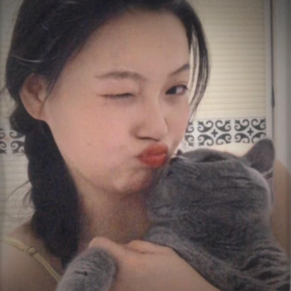 团子.