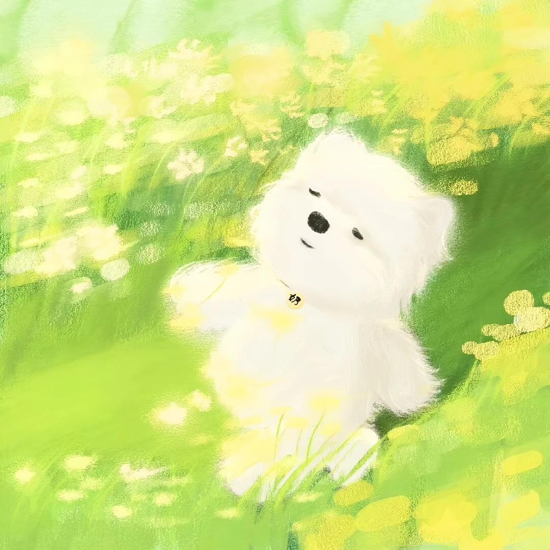 🧡财迷小Y🌟