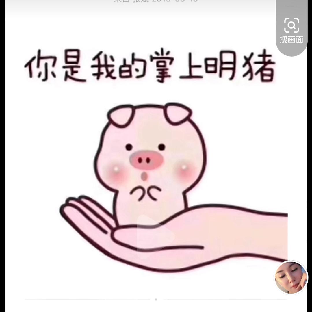 掌上明珠