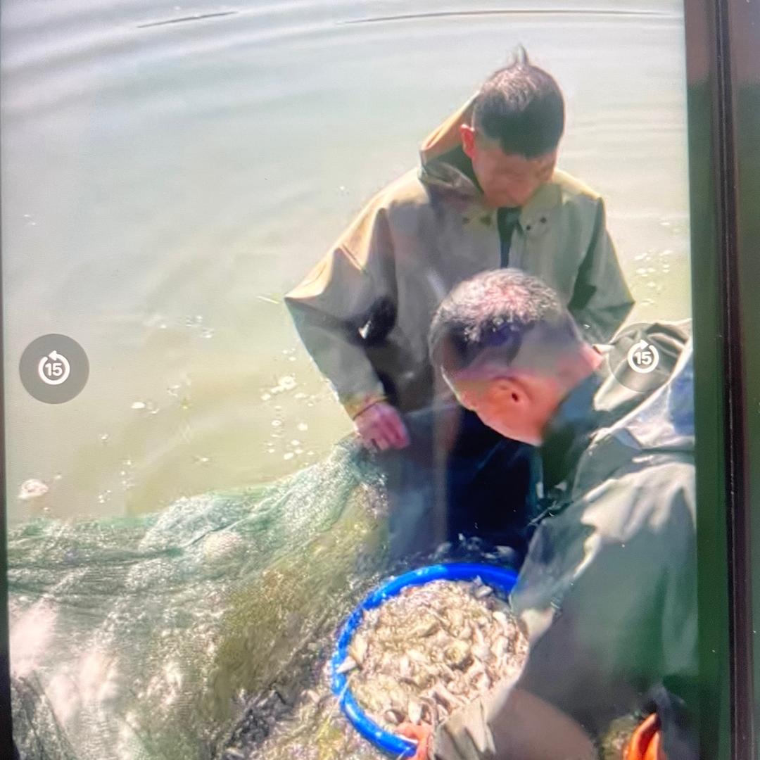 兴农鱼苗养殖场水产