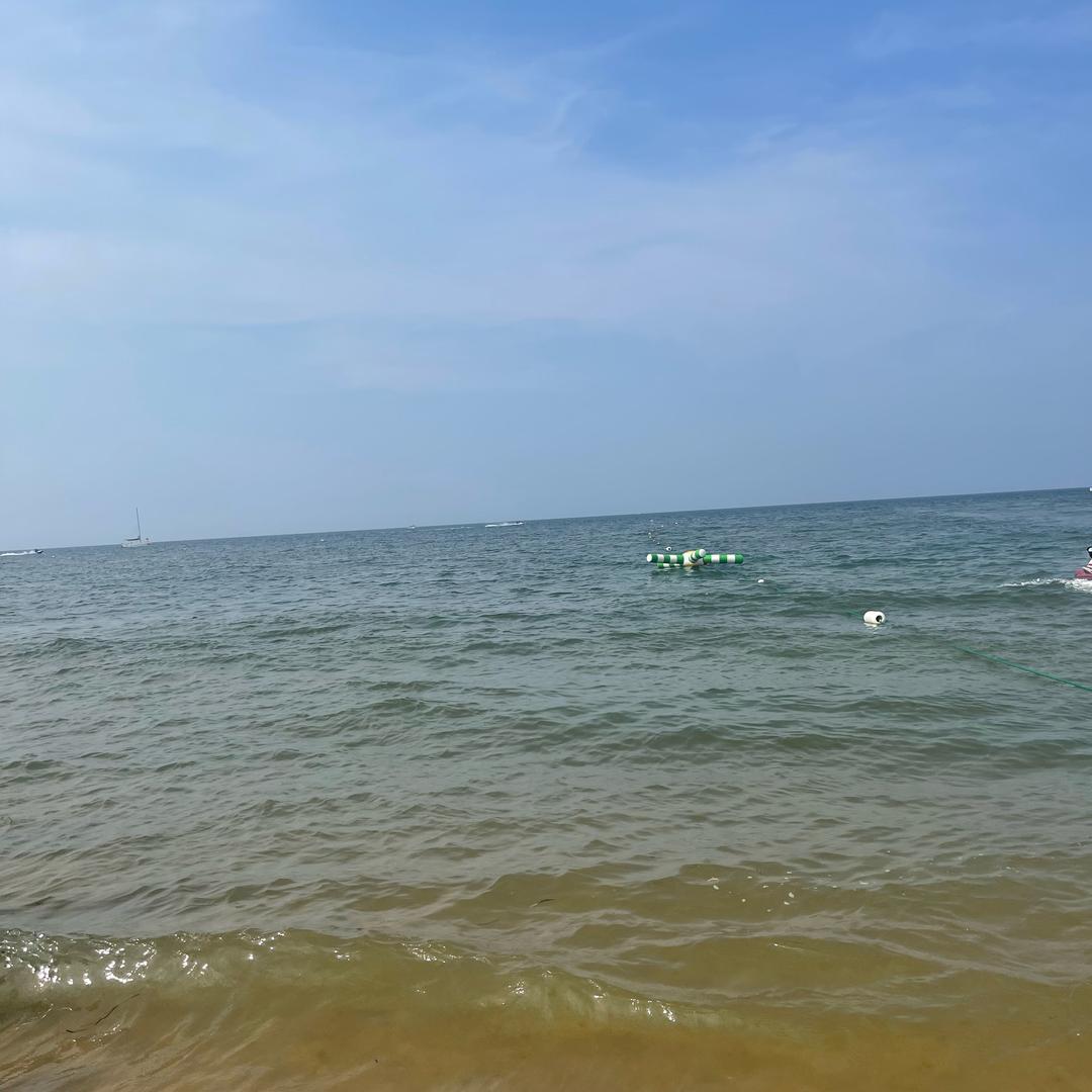 小阳哥