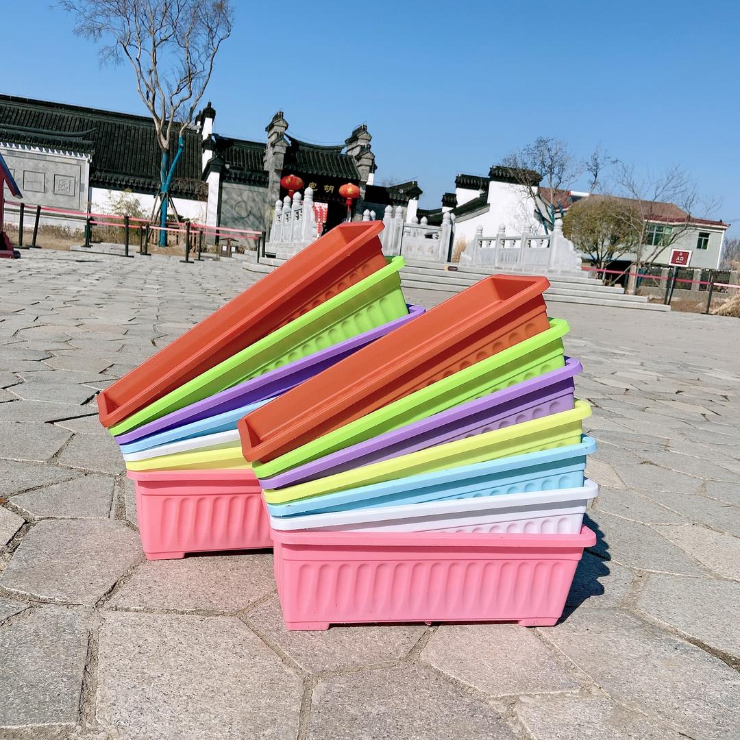 沭阳县月月苗木场