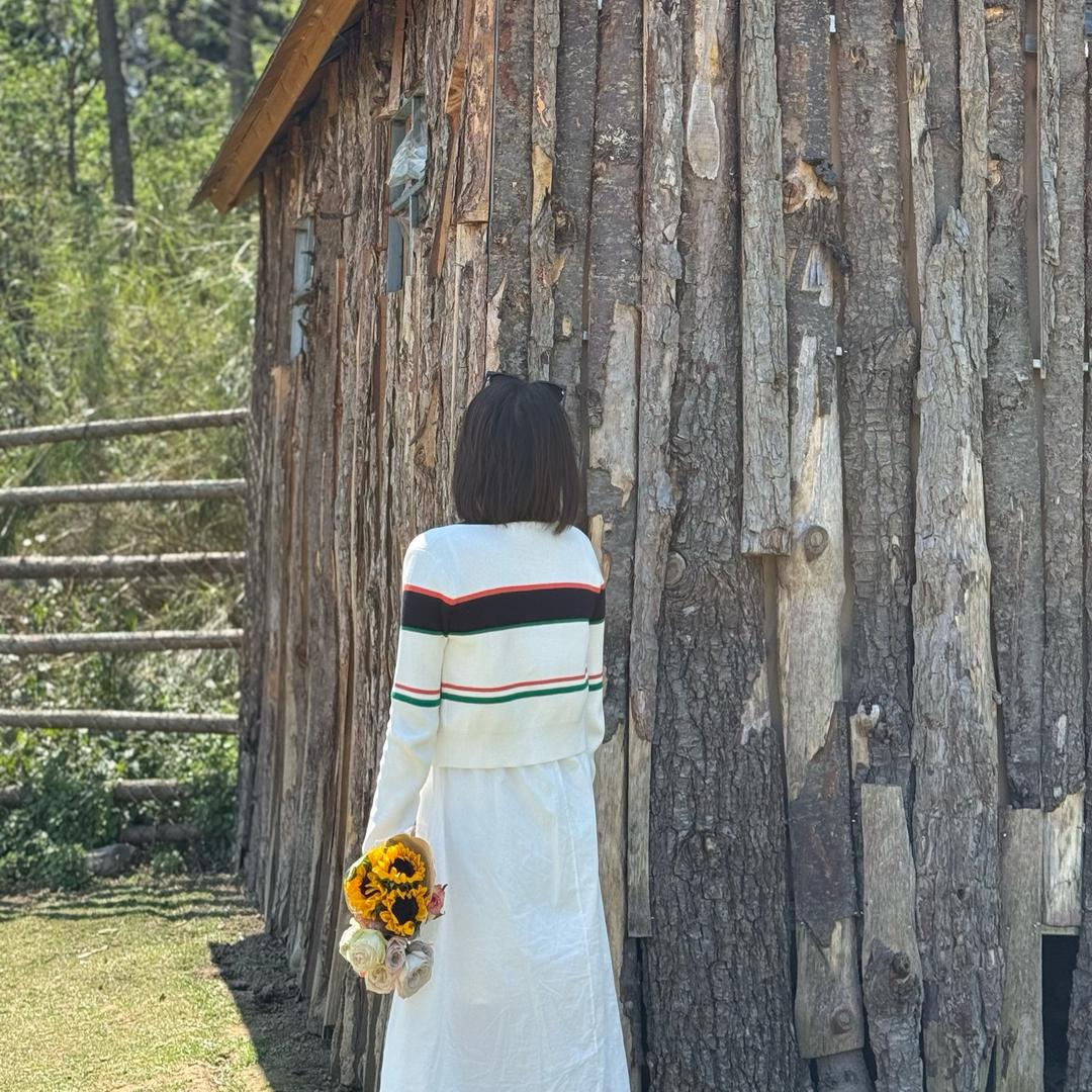 如此安好🌻🌻