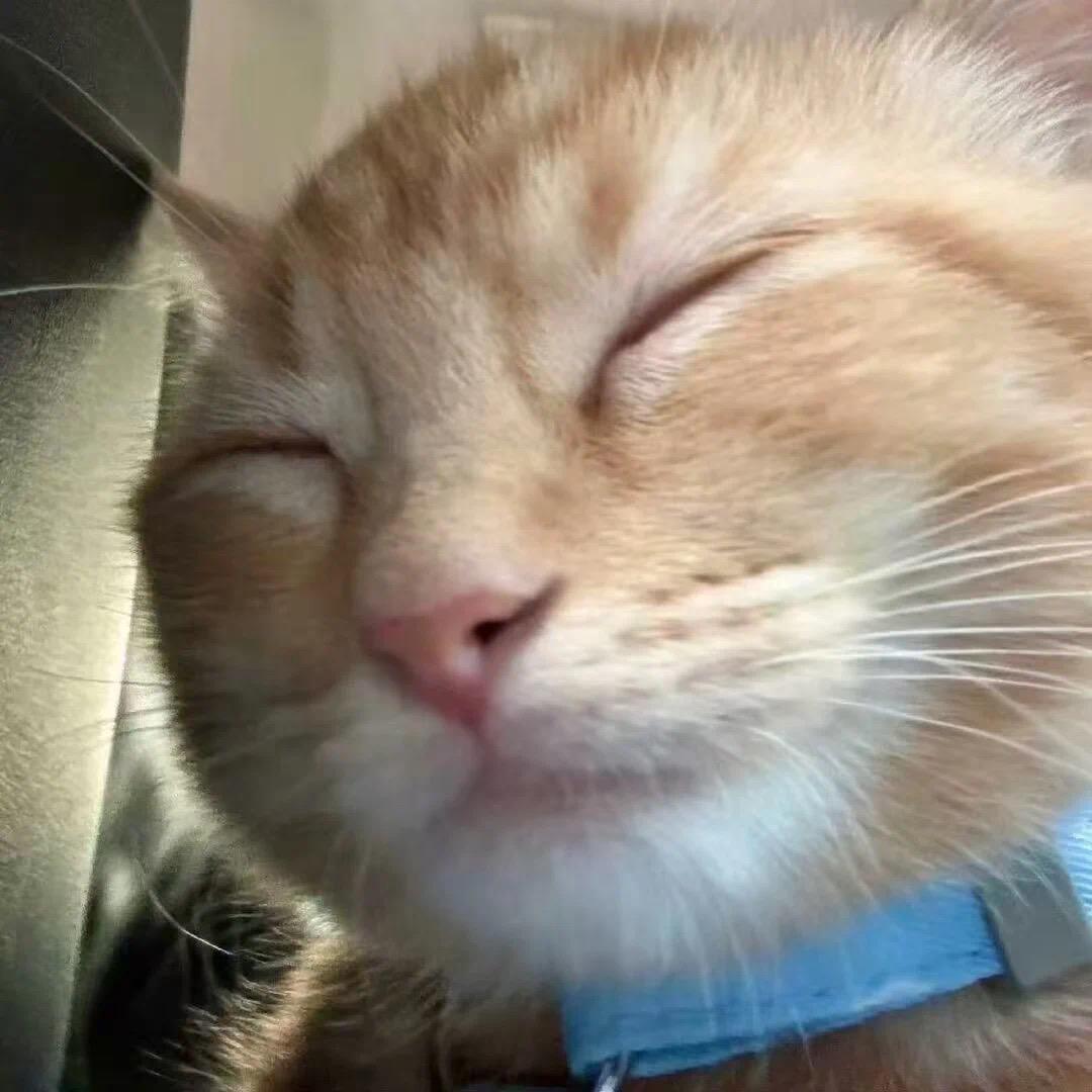 咪眯眼