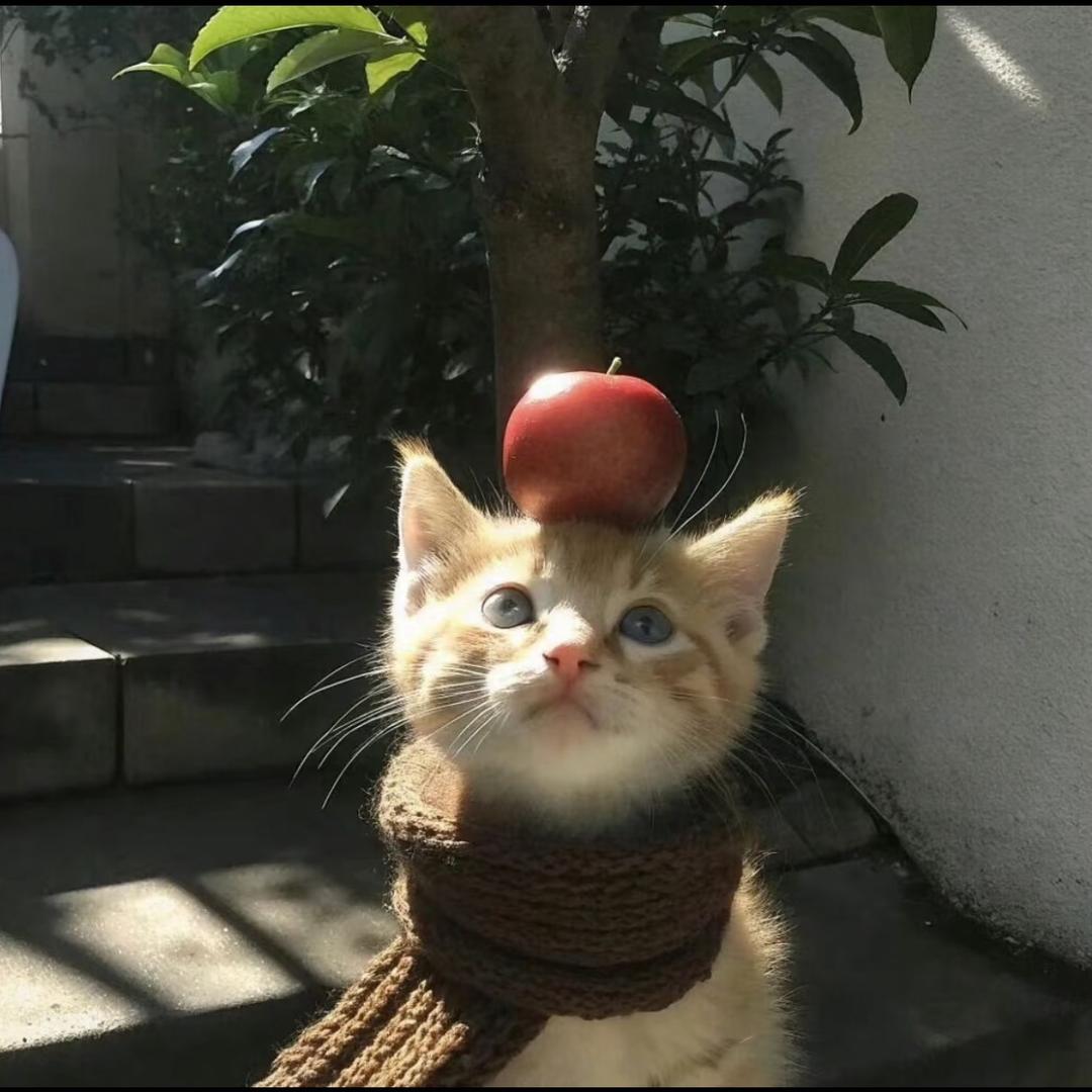想退休