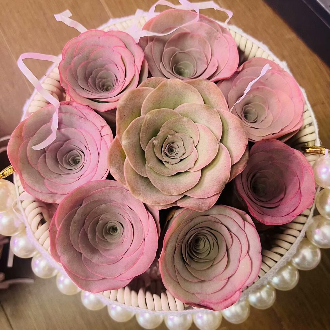 花满大地山地玫瑰多肉园