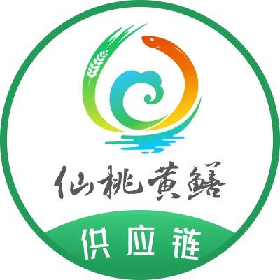 仙桃黄鳝