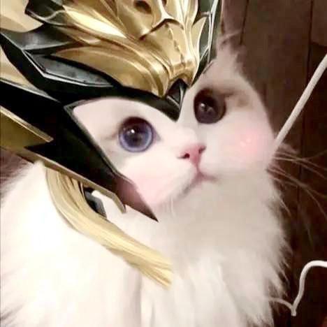 小咩