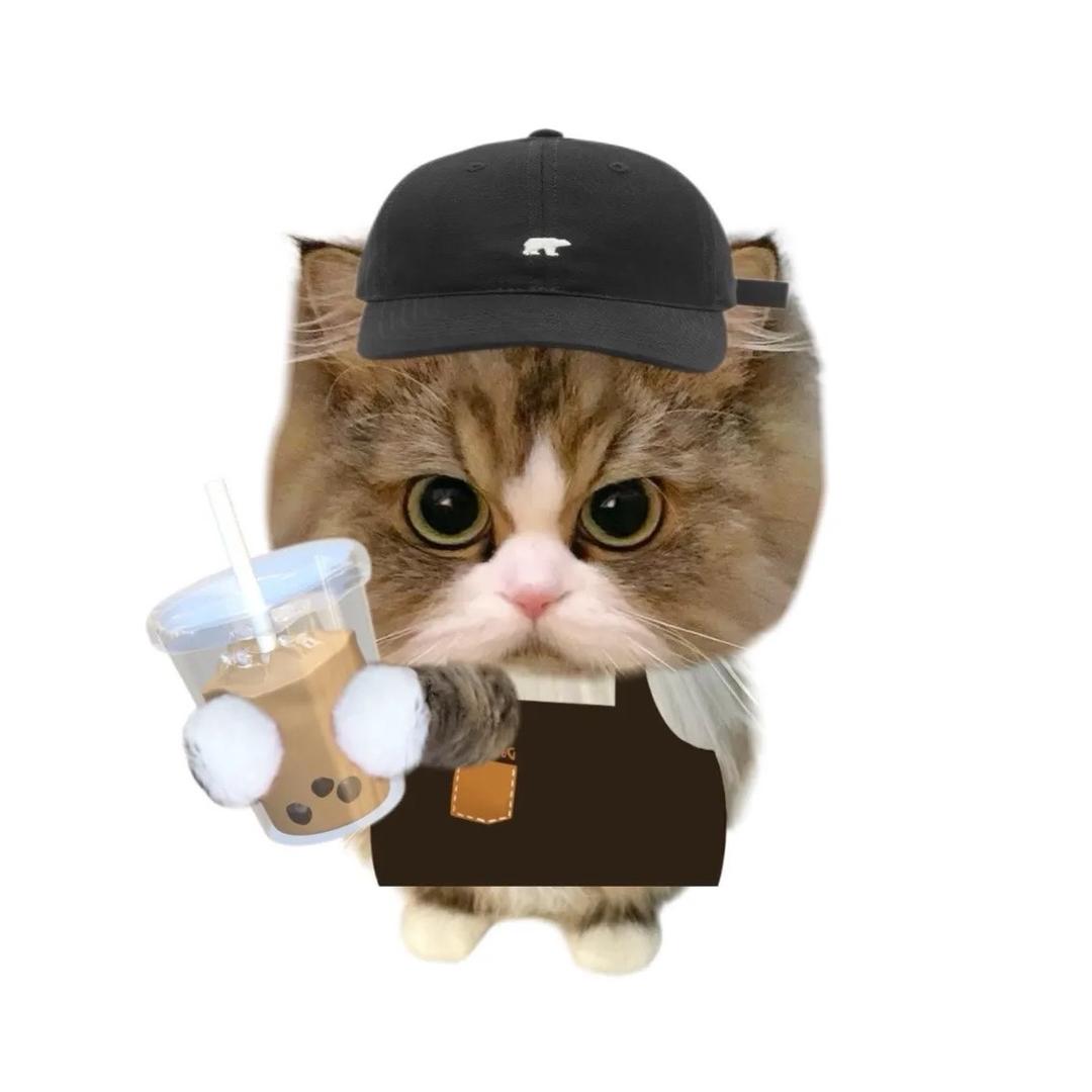 小猫不吃鱼