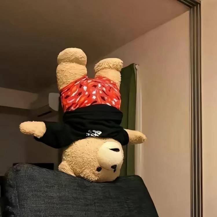 一只狗