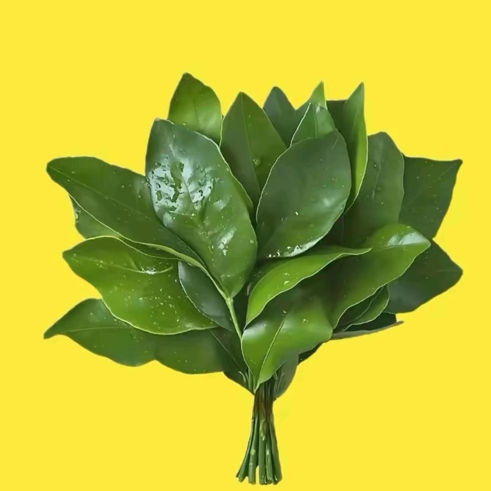小野