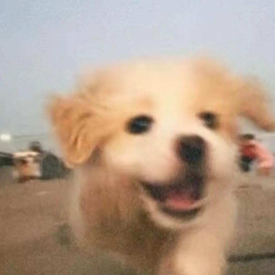 几碗