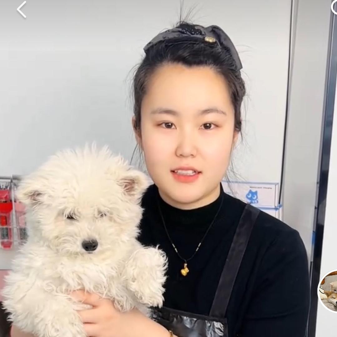 剪毛剃毛教学 小于老师