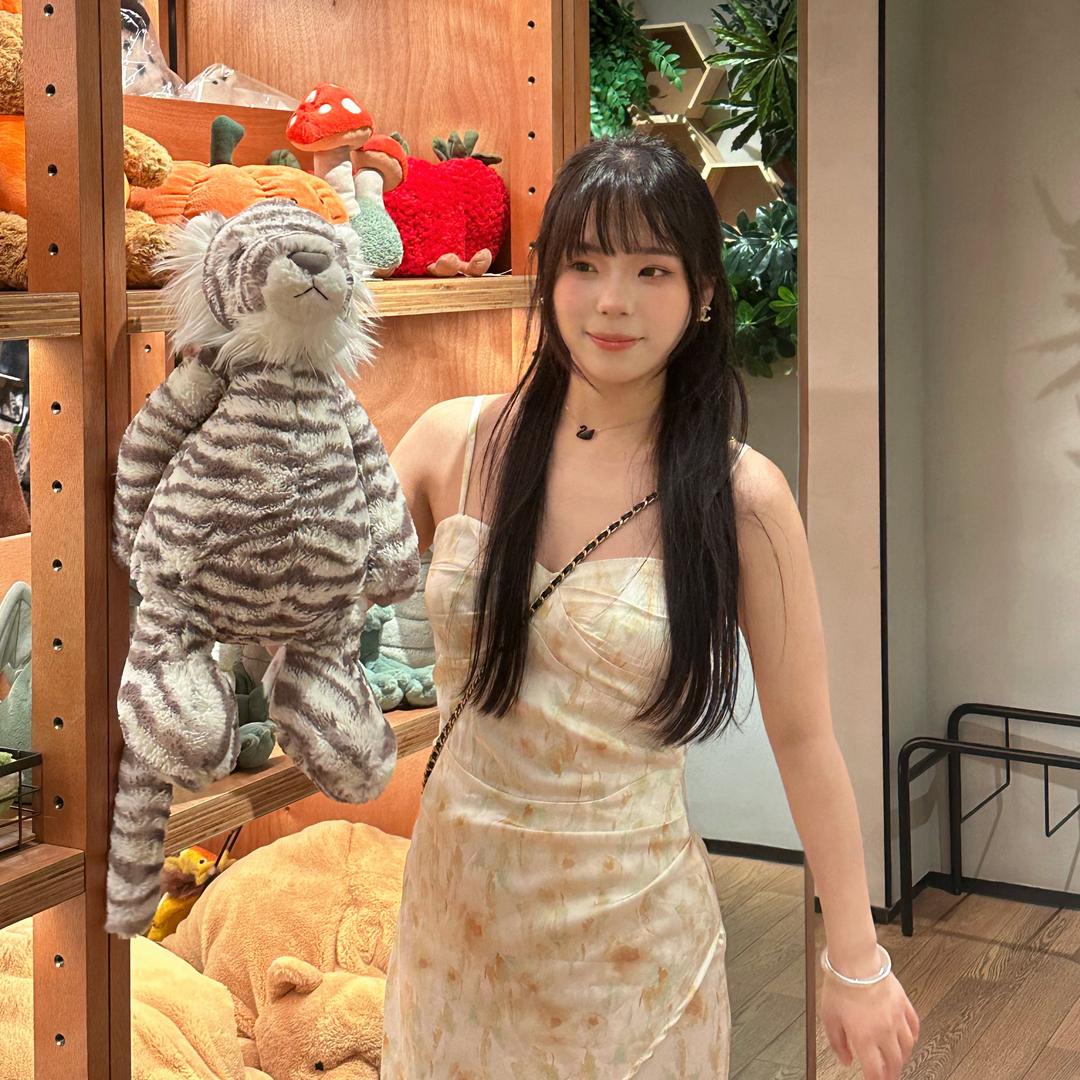 乔乔兔ouo（见过许嵩版）