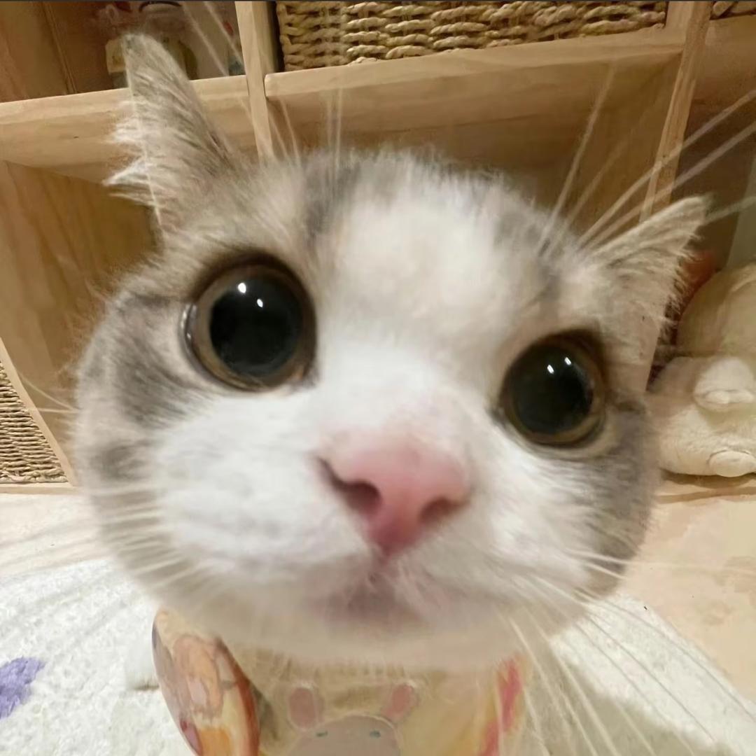 还能长高吗