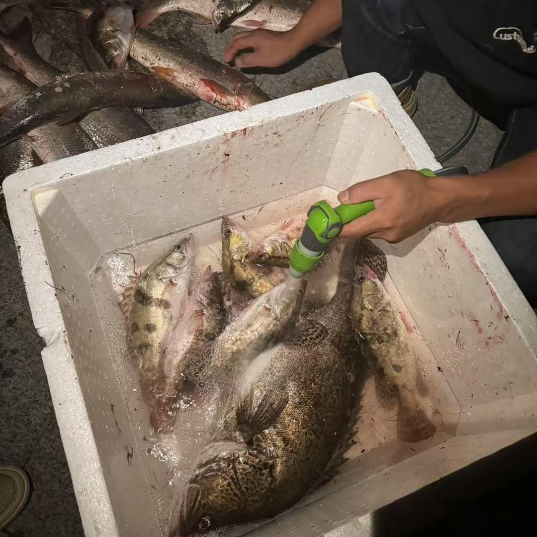 路亚三年一条没上！