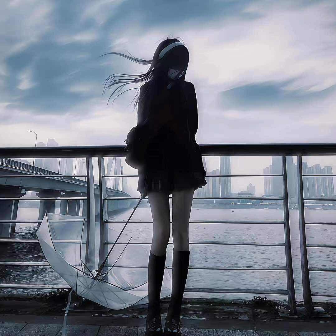 小笨蛋