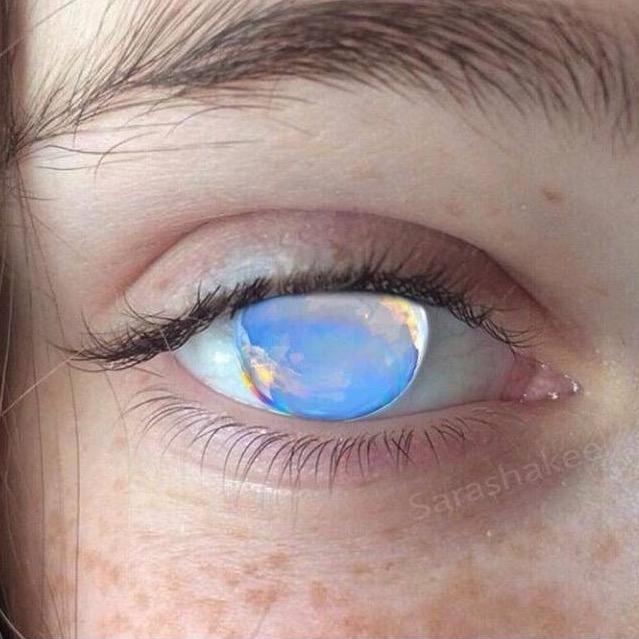 七斤八两