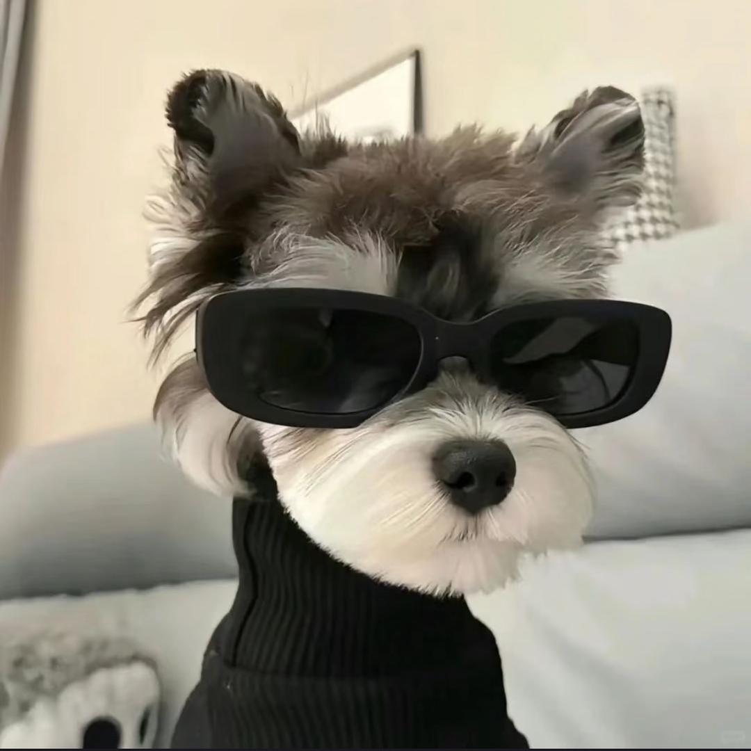 欢少