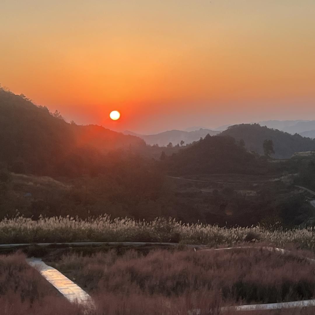 乡农森鲜