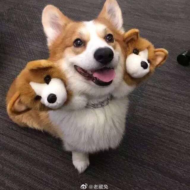 wuu
